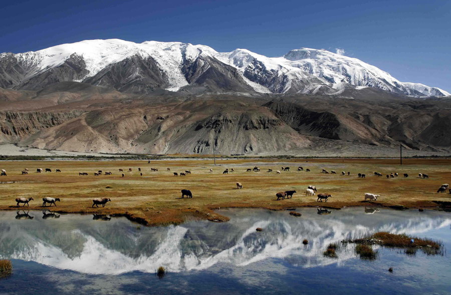 ��ͷ�� | �ĵ�ͭ�������÷������±�gg�����漣Ӫҵ�½ṹ