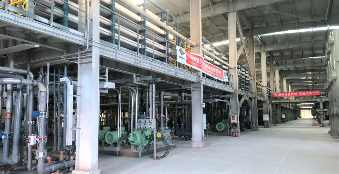 �±�gg�����漣�����ٿ�2024��ȸ߼�����ְԱ����ۻ� 